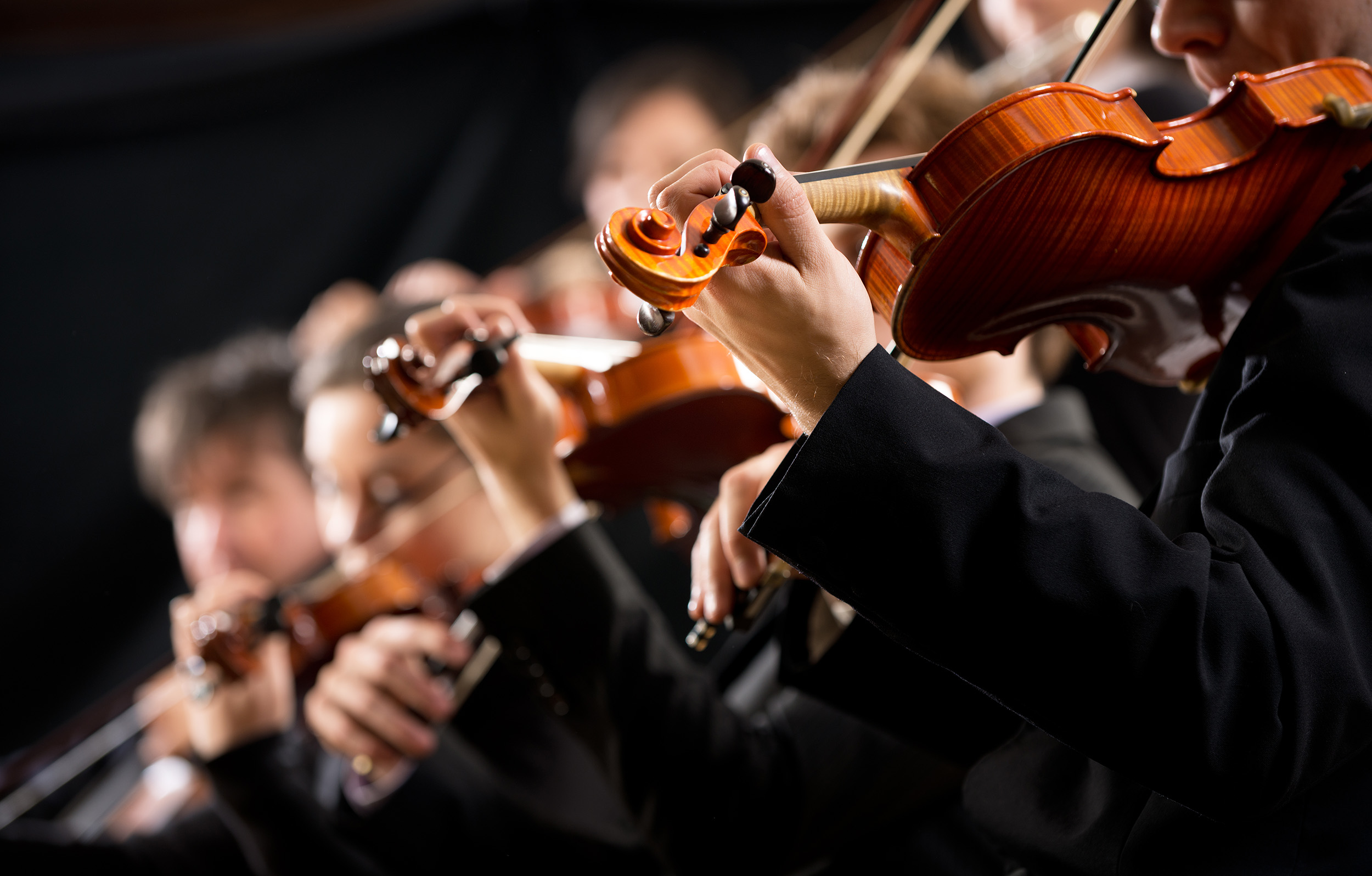 Closeup of a line of violin players in an orchestra.